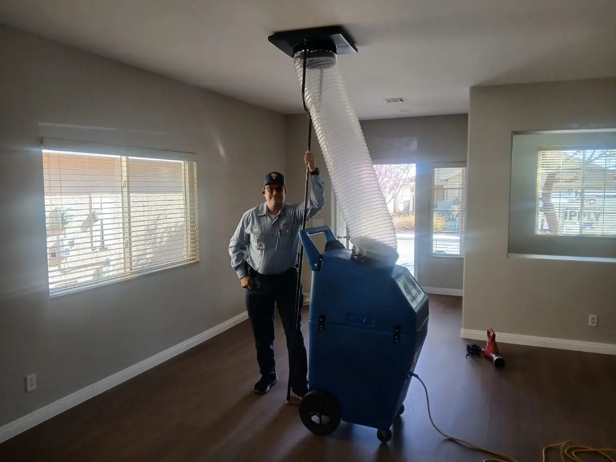 Professional Dryer Vent Cleaning work inside a Glen Carbon home